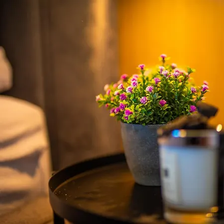 Donna Aparts 2 * Jastrzębia Góra