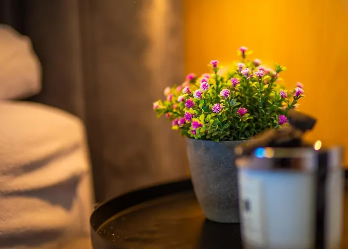 Donna Aparts 2 * Jastrzębia Góra